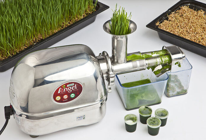 Angel Juicer 8500s