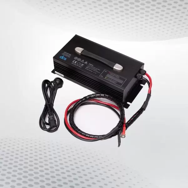  LiFePO4 battery chargers