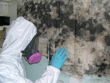 mould testing & inspections Sydney